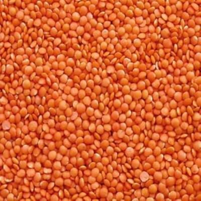 Masor Dal 1Kg